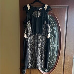 Nue by Shani Black and Cream Lace Mini Dress